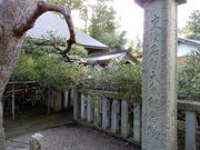 V񂳂̗̃ciMK̓eʐ^2