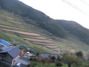 ǂ炦񂳂̔璬E嚸a̒Ic̓eʐ^1