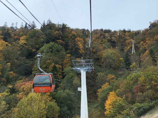 秋の様子。_札幌国際スキー場