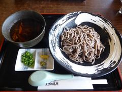 �C�[�X�g�E�b�h����̂��т̍������X�g�Z���^�[�ւ̓��e�ʐ^1