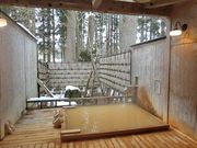 ɂǂ񂳂̋񉷐@􉑂̓eʐ^2