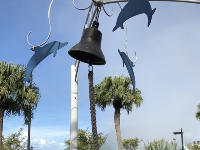 �h���t�B���K���̏�_�h���t�B���|�[�g