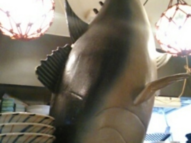 ̂[kC ʊC V蒬rX̓eʐ^3