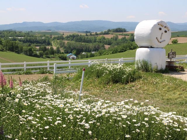 �q���W���I��_�V�h�̋u�W�]����