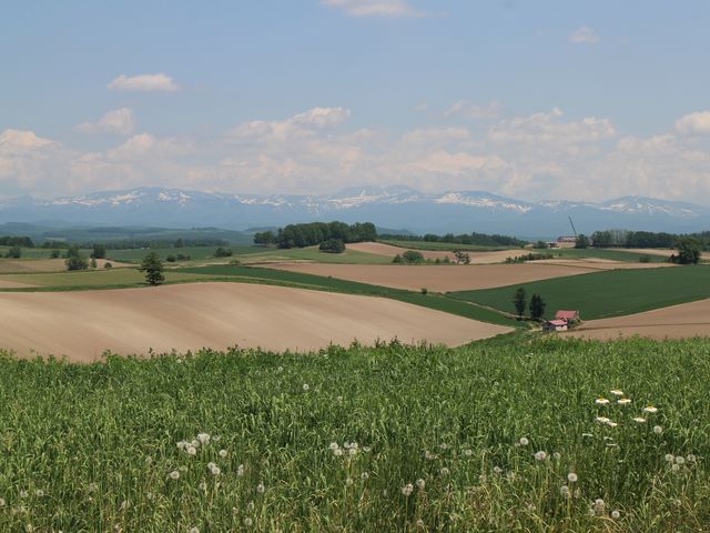 �V�h�̋u_�V�h�̋u�W�]����