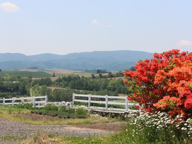 �����炢�Ă��܂���_�V�h�̋u�W�]����