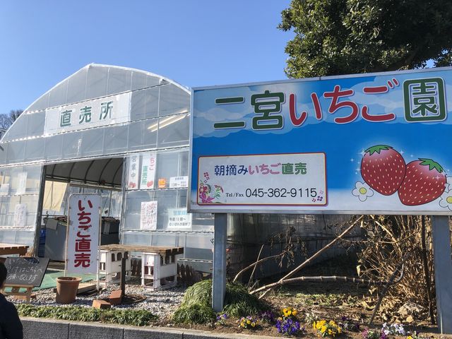 �쉈���ɂ���܂���_��{��������