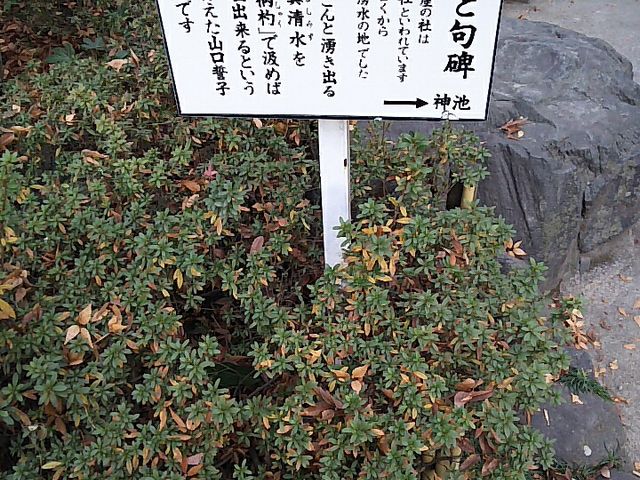 安産と句碑_子安神社