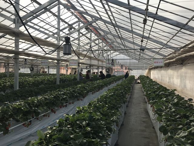 �L���I�I_���c���������_��