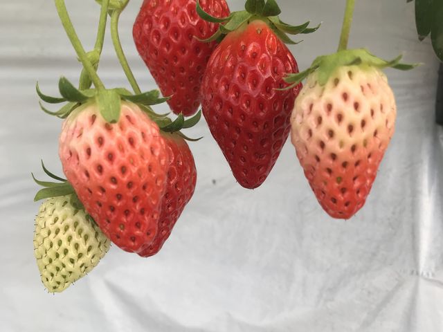 ���n������_���c���������_��