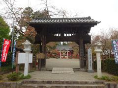 pon񂳂̐ǓcƋ{ւ̓eʐ^1