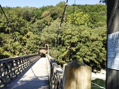 rascalrie̓V݋ւ̓eʐ^1