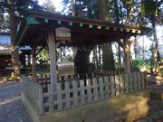 pon񂳂̐i_Ђ̓eʐ^3