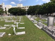 topology̔Oln̓eʐ^1