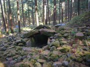 ^{剤̑厺ÕQ̓eʐ^1