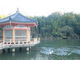 静さんの安養寺（岡山県美作市）への投稿写真2