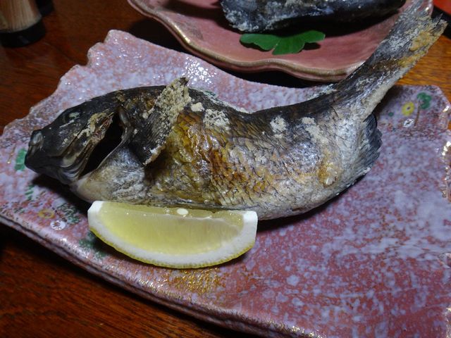 ���̉��Ă����h�[���Ƃ��������ł��B_�哴�A�̏h�@���y��