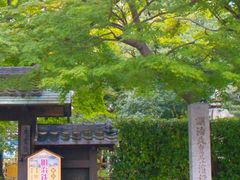 �X�}�C������̒��l�~�~�W�ւ̓��e�ʐ^1