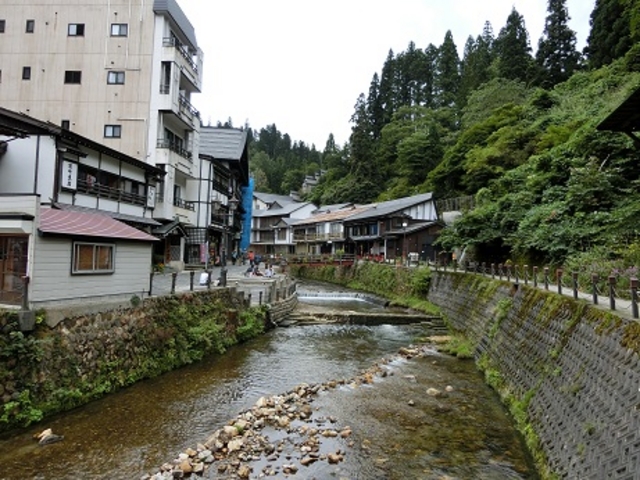 ɂǂ񂳂̈ɓ̉؂̓eʐ^1