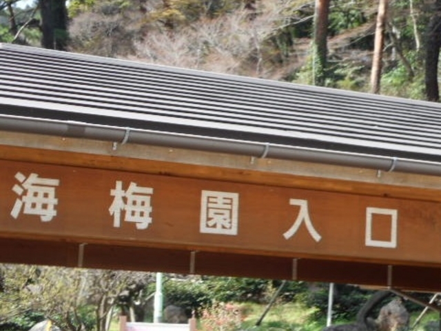 �~��_�M�C�~���̔~