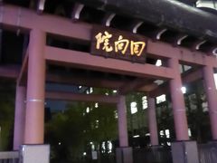 �}���[����̉���@�ւ̓��e�ʐ^1