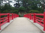 ꂨ񂳂̗̔AmԂ̔葼̓eʐ^1