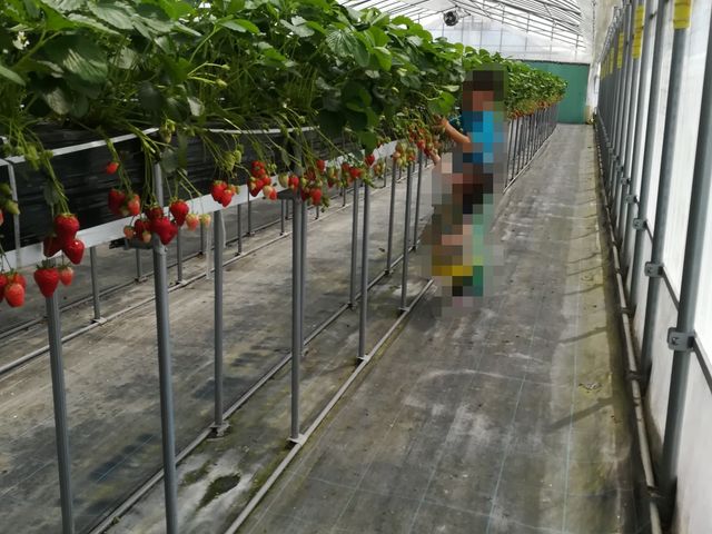 ���w���ƈ�Ύ��Ŏ��n��(^^)_���[��������