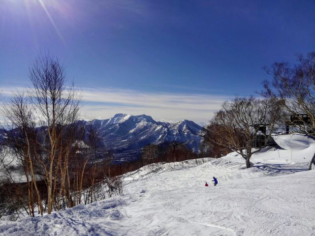 �R���f�B�V�����ǍD_�������m���X�L�[��