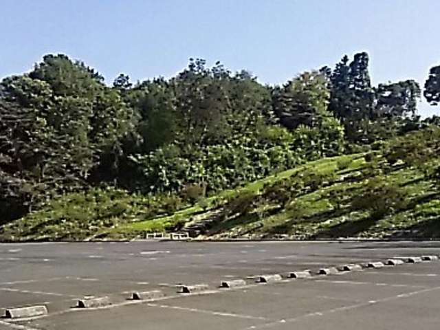 ���ԏ�_�ό����������@�x���[�����n�E�X