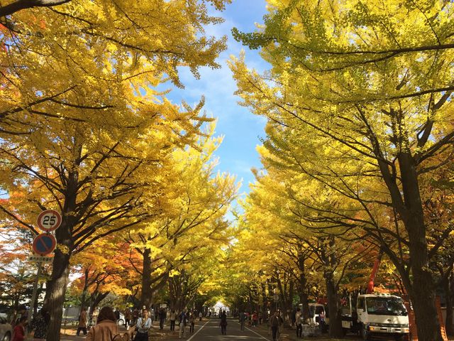 �k��C�`���E����_�k��C�`���E����