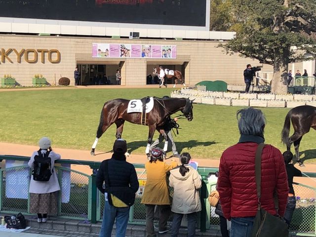 ケンタッキーフライドチキン京都競馬場店 京都駅周辺 その他軽食 グルメ じゃらんnet