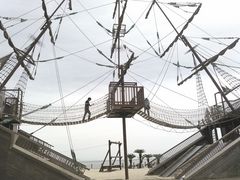 50̃Xm[{[h񂳂̍LC݌ւ̓eʐ^2