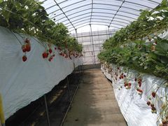 50̃Xm[{[h񂳂̂ւ̓eʐ^1