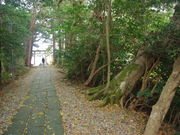 ^{剤̐{{_ЎБp̓eʐ^1