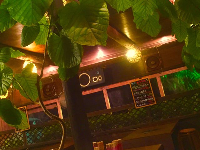 ���[���E�C�̉ƁI�I_����_�C�j���O �C�̉�