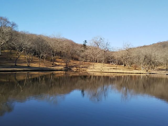 ���i_�k�R����