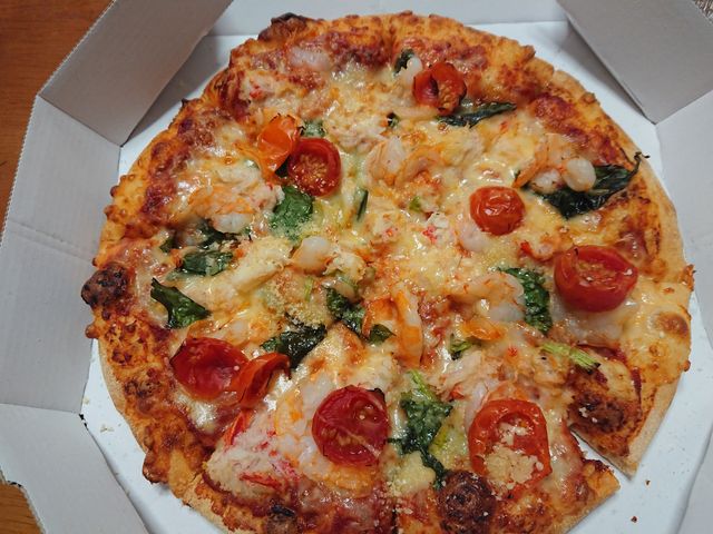 E102̑zsŨh~mEsU ʉwOXiDominofsj̓eʐ^1