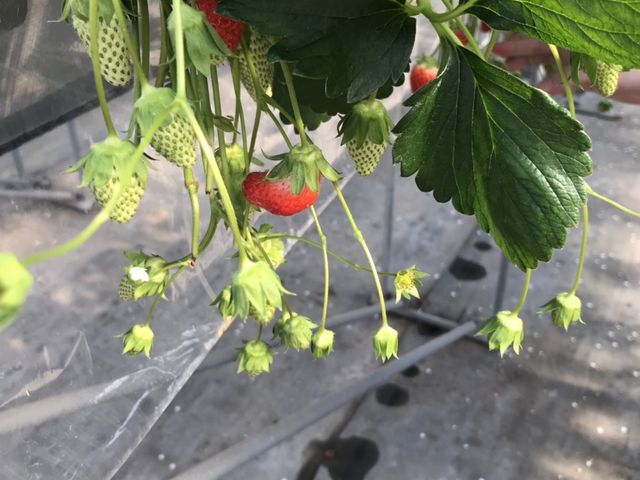 �ςȌ`�i�΁j_��{��������