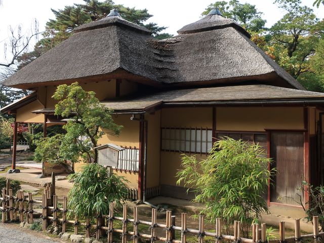 ̈ӏȂǑSʓIɋÂĂ_[iZj