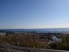 たぬきさんの城ヶ島灯台の投稿写真3