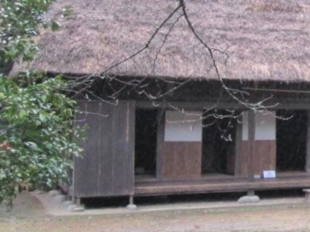 �ŗt���̖���_���Ɖ�