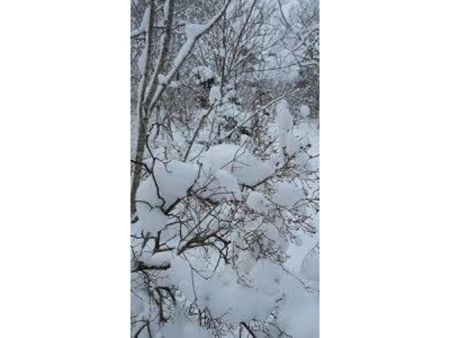 �����銦���I_��������U���H