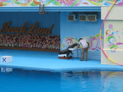 ۂɂ傳̓mr[`h&mቤւ̓eʐ^1