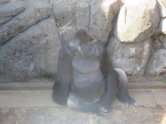 ۂɂ傳̐tsւ̓eʐ^1