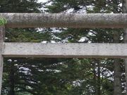 񂳂̐Ԑ_Ёi쌧y򒬁j̓eʐ^1