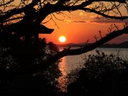 Ƃ񂳂̐ԕ䉷̓eʐ^1