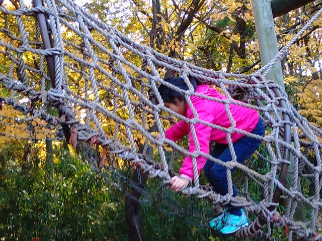 �l�b�g_�t�B�[���h�A�X���`�b�N���l������R�[�X