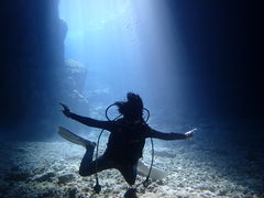 T[̃}Nu Gigiւ̓eʐ^1