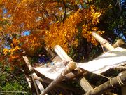 ɂ̃tB[hAX`bNlR[X̓eʐ^1