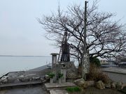 panchan����̏o���̓���̓��e�ʐ^2